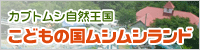 カブトムシ自然王国 こどもの国ムシムシランド
