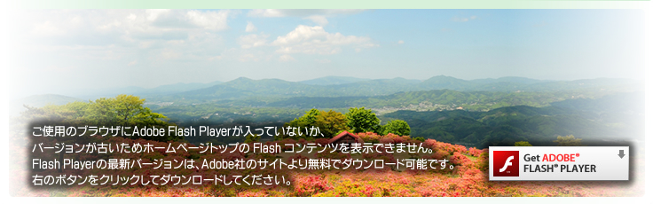 代替コンテンツ