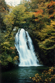 行司ヶ滝・秋の写真