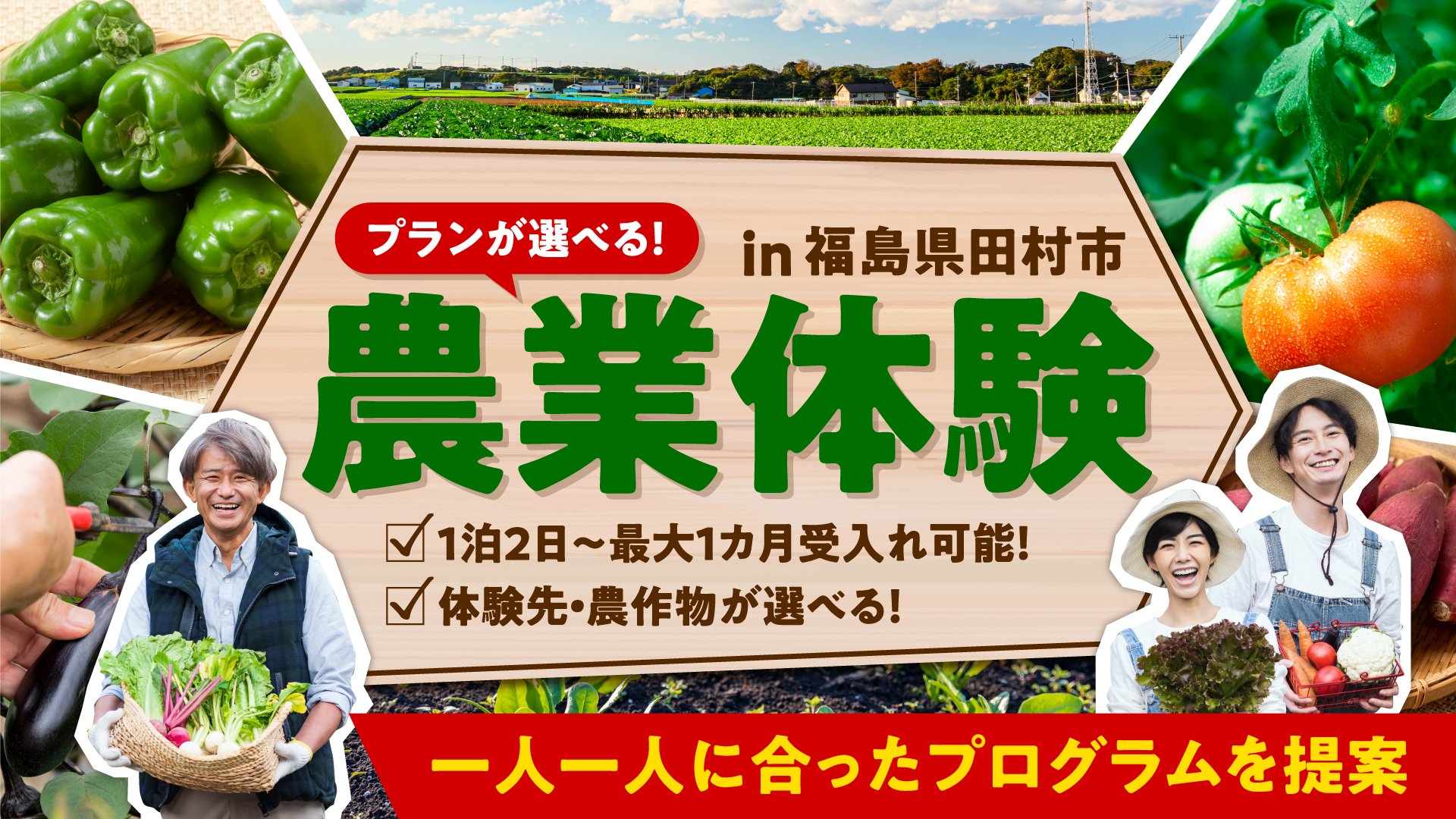 トライアル農業2長方形