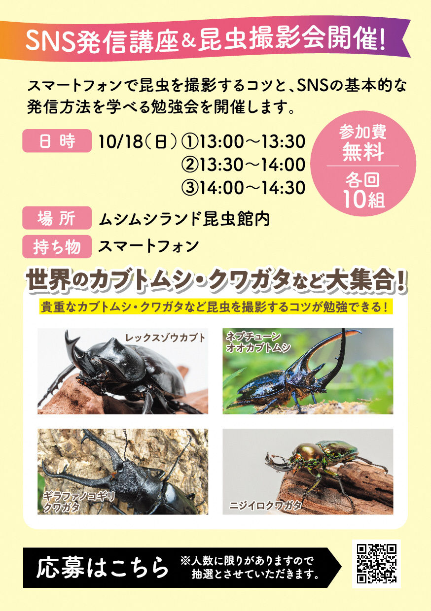 2606_田村市SNS講座_A5ビラ_02