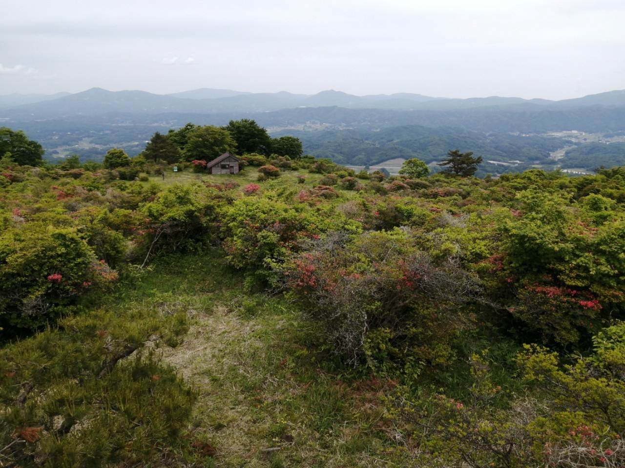 5月26日高柴山ツツジ5（展望台から牧野方面）