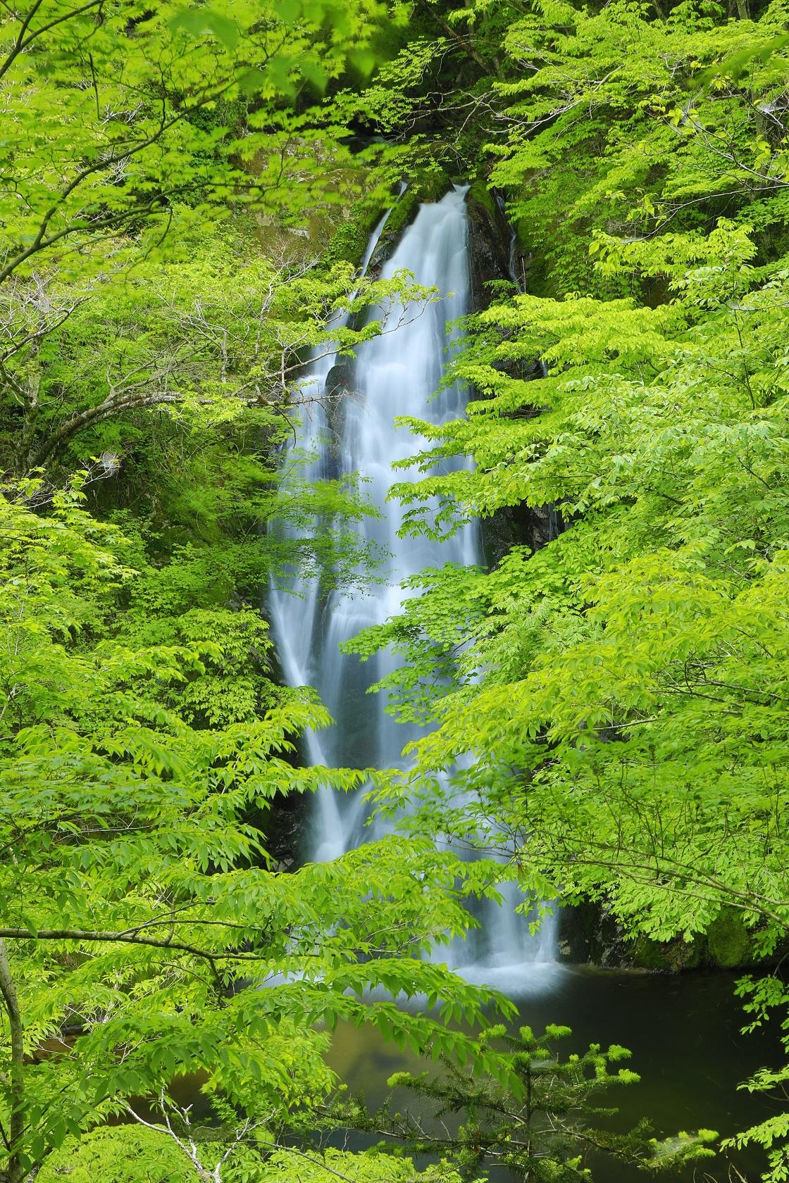 行司ヶ滝_画像６