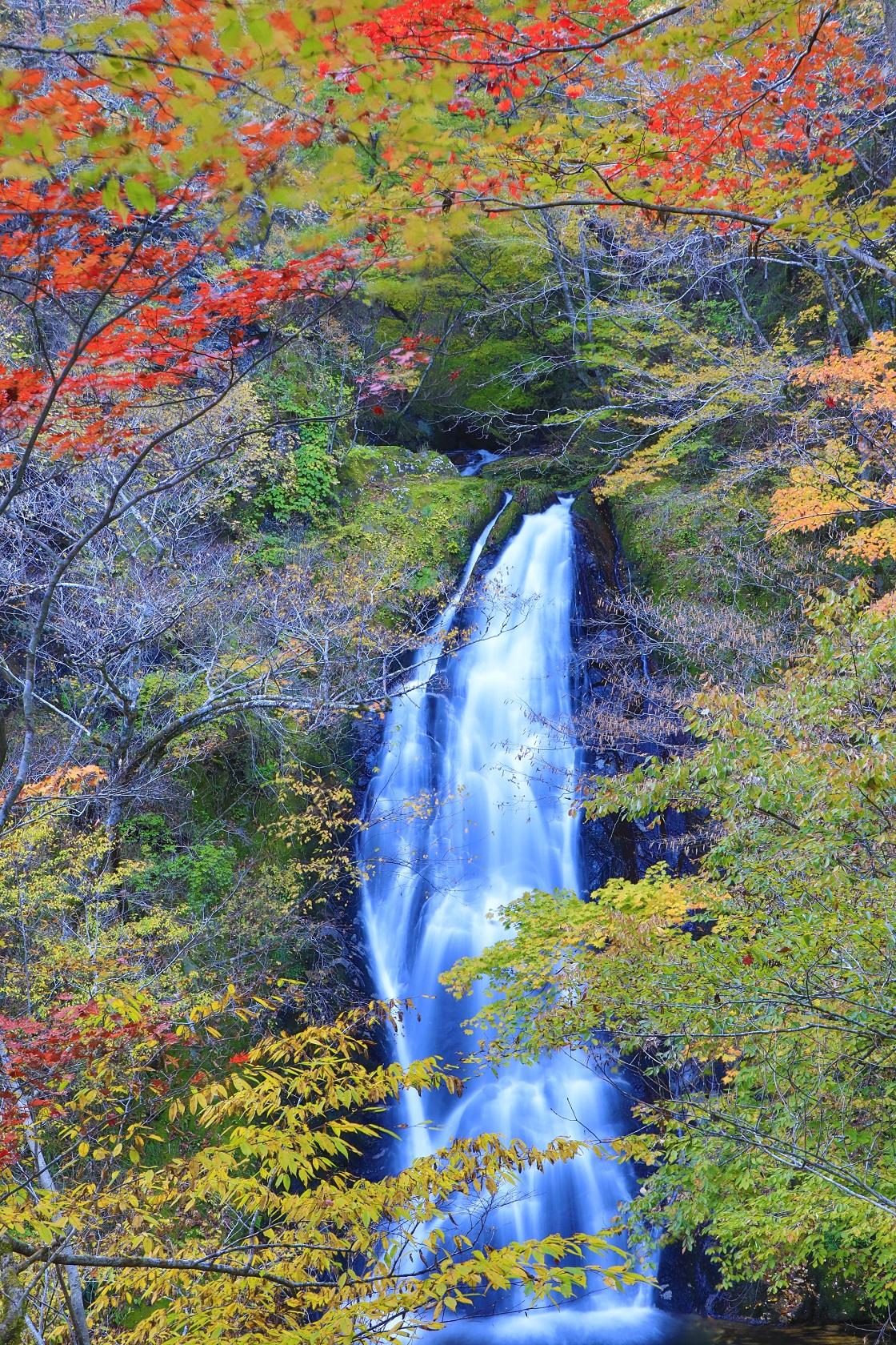 行司ヶ滝_画像７