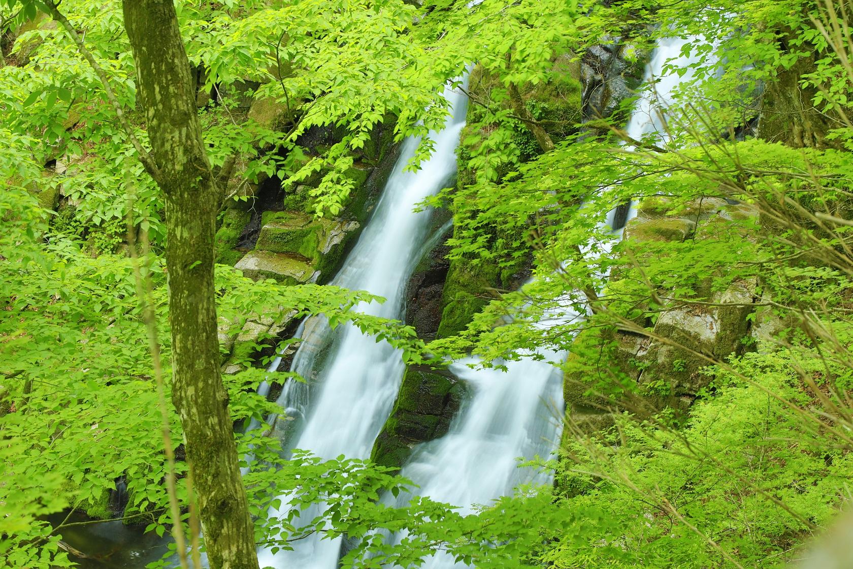 行司ヶ滝_画像４