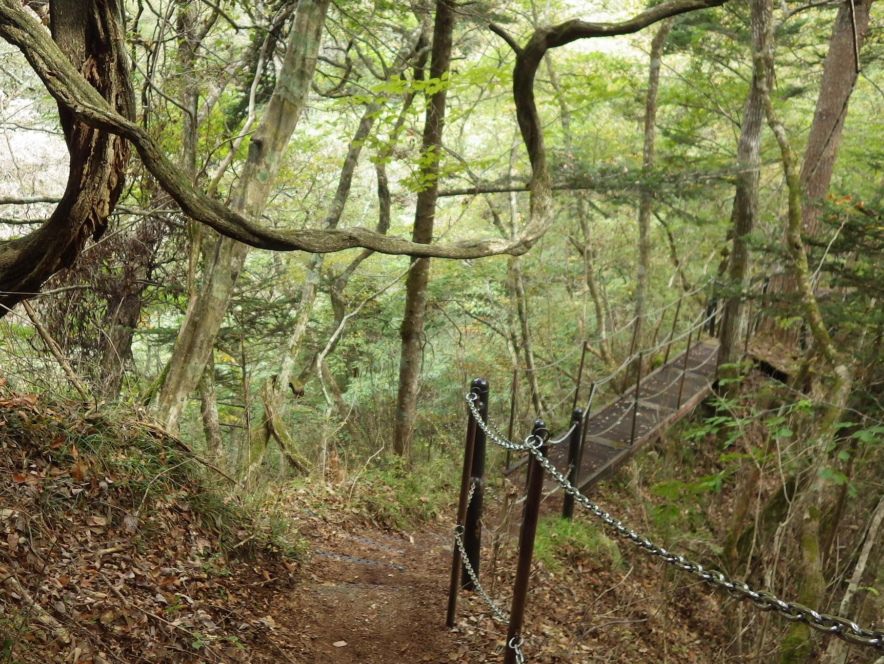 行司ヶ滝_画像10(トリミング済)