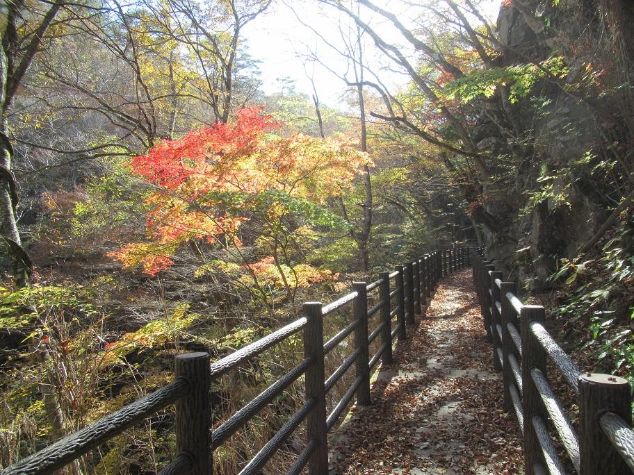 行司ヶ滝_画像２