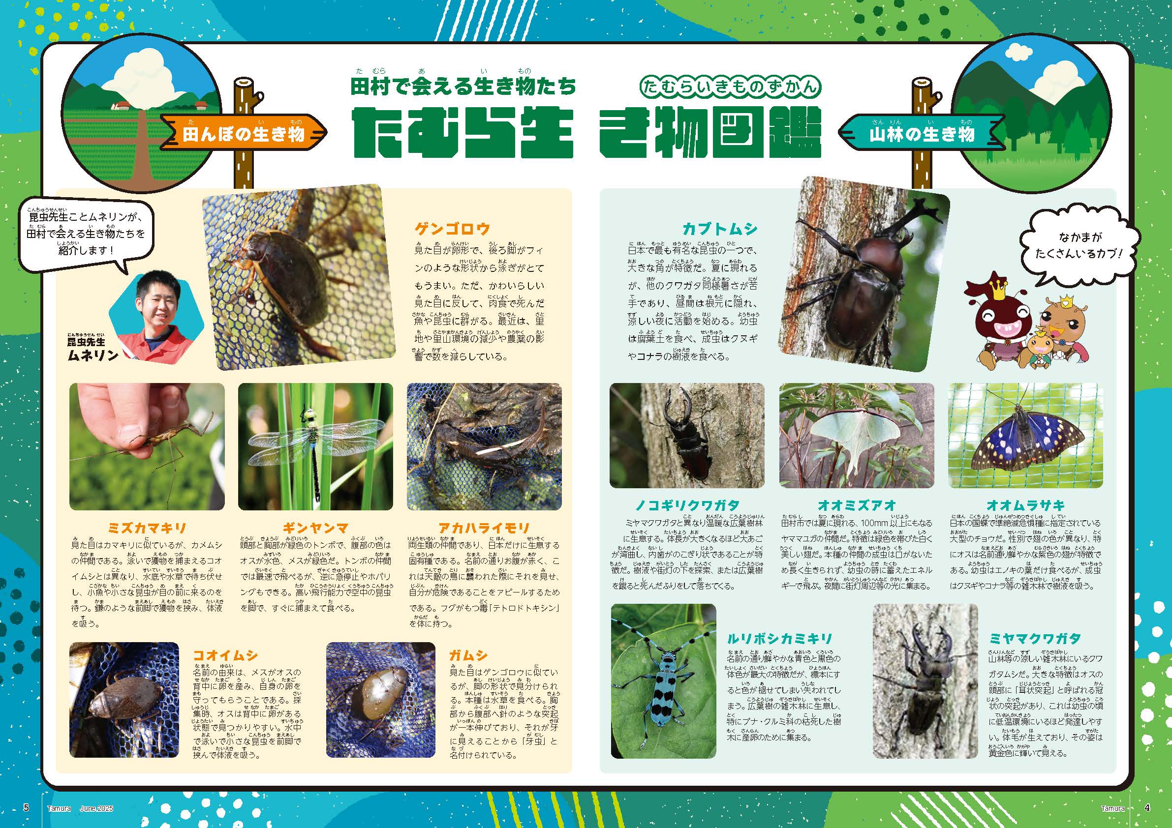 市政だより6月号(広報紙)_ページ_2