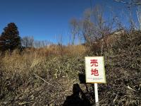 鐙ヶ池①