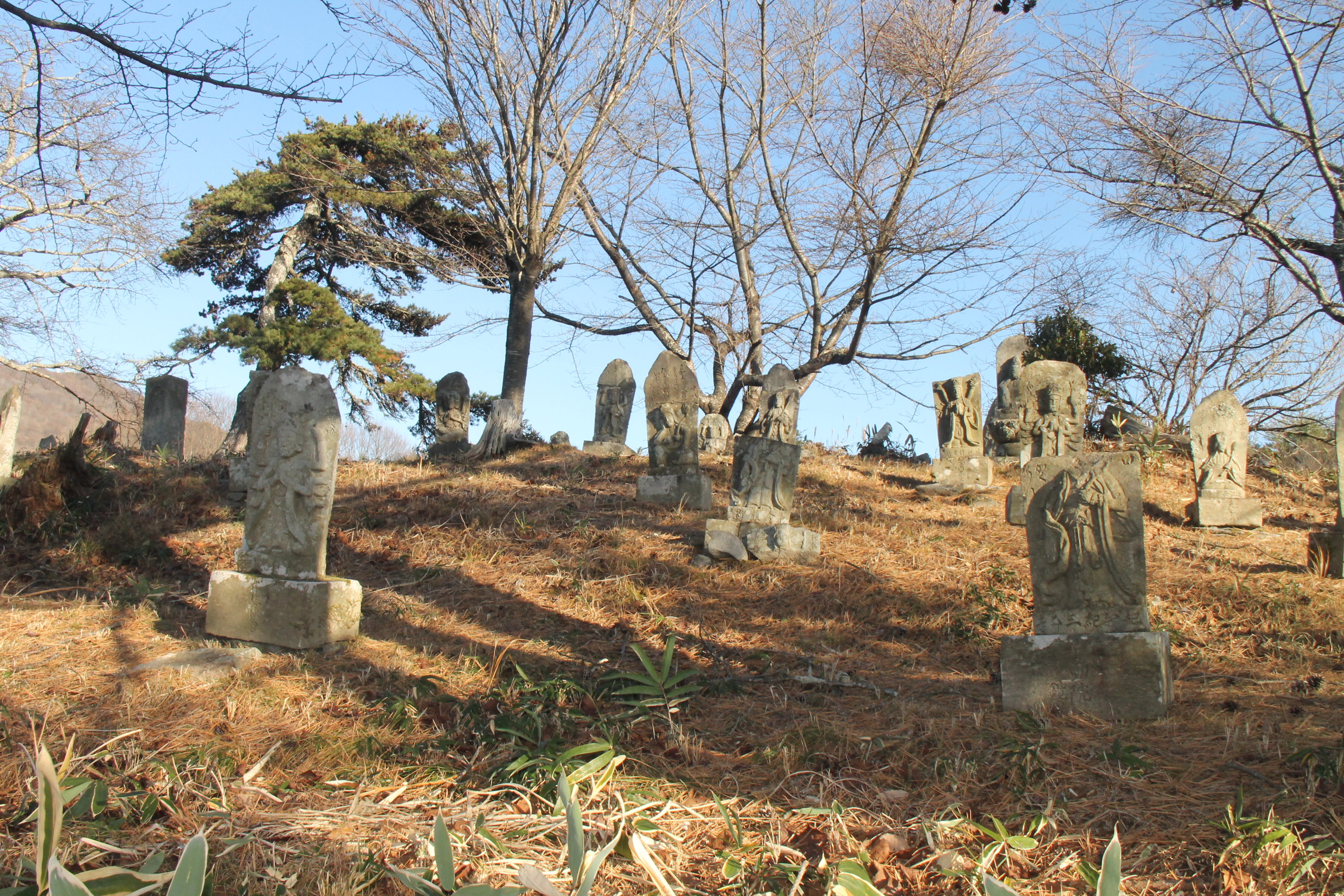 芦沢本郷三十三観音（全景）