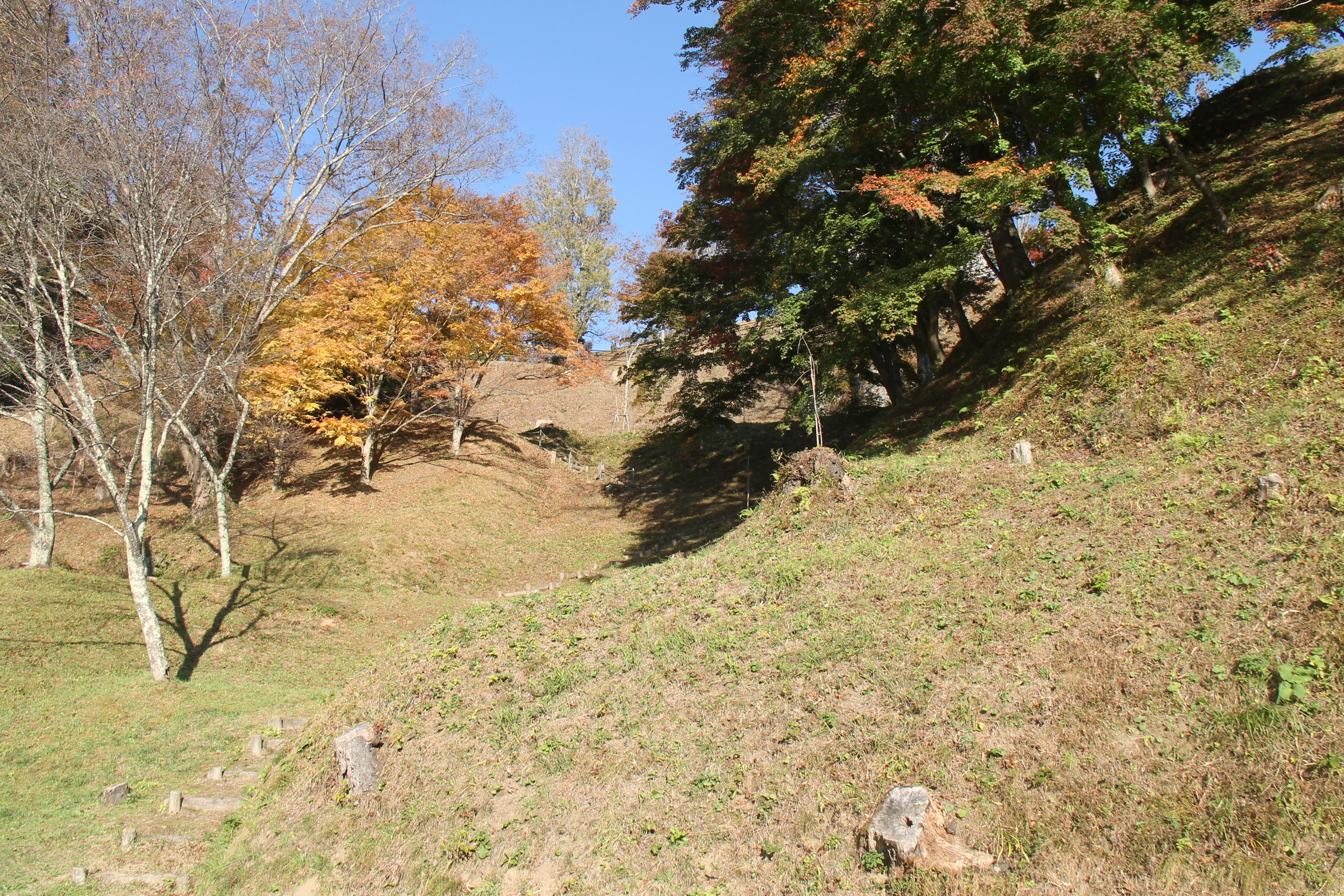 常盤城_本丸を望む