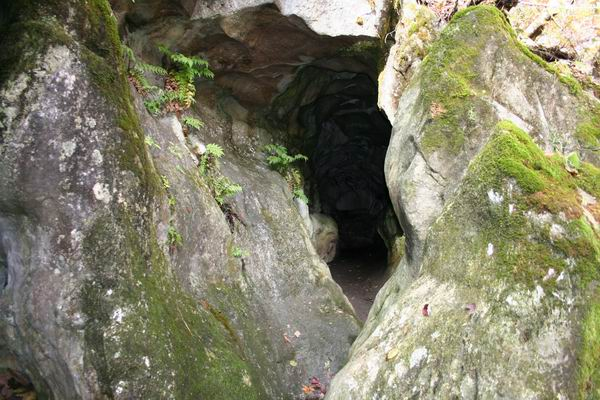 特（生涯学習課）文化財連載_坂上田村麻呂③_写真①鬼穴（滝根）