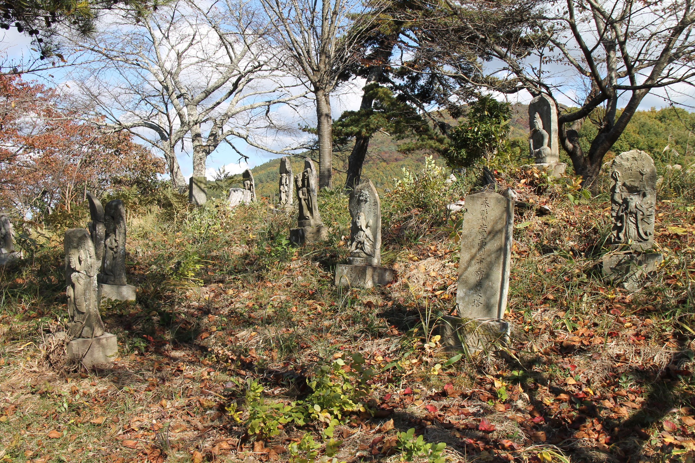 特（生涯学習課）西国三十三所供養塔（芦沢本郷）.JPG