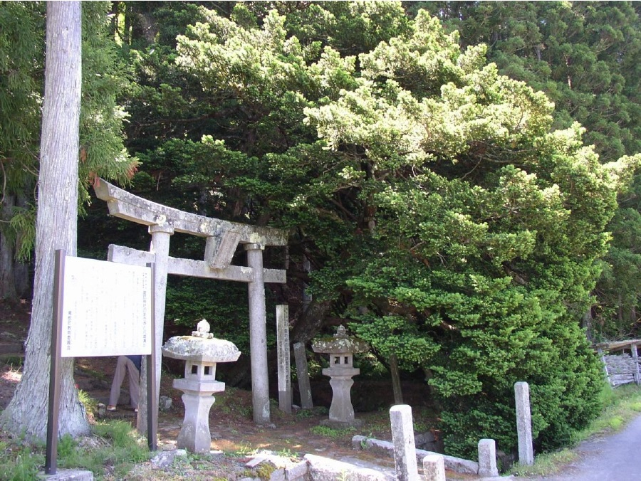 諏訪神社のあかぎと六郷清水