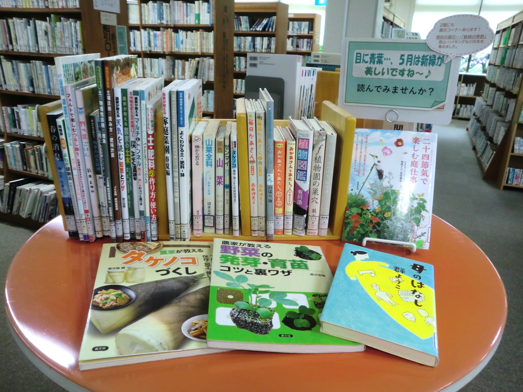 一般展示(5月)