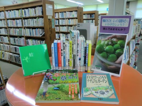 一般展示(6月)