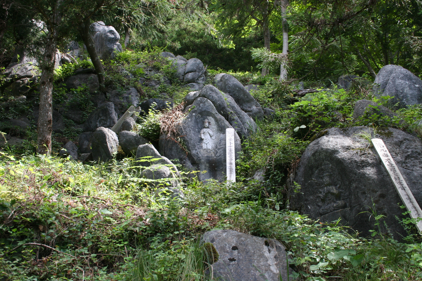 入水３３全景