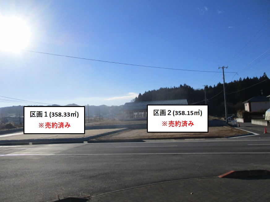 アゼリア写真②