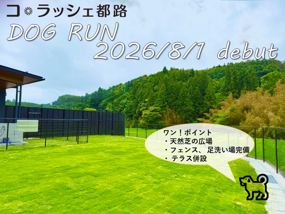 コ・ラッシェ都路_ドッグラン