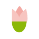 咲き始めイラスト