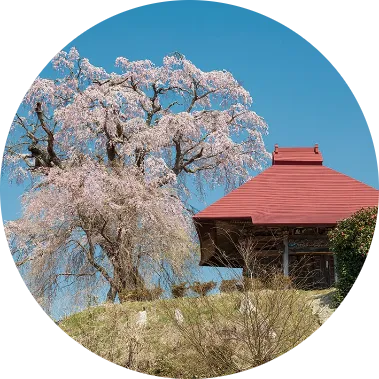 田村の美桜88景イメージ