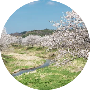 田村の美桜88景イメージ