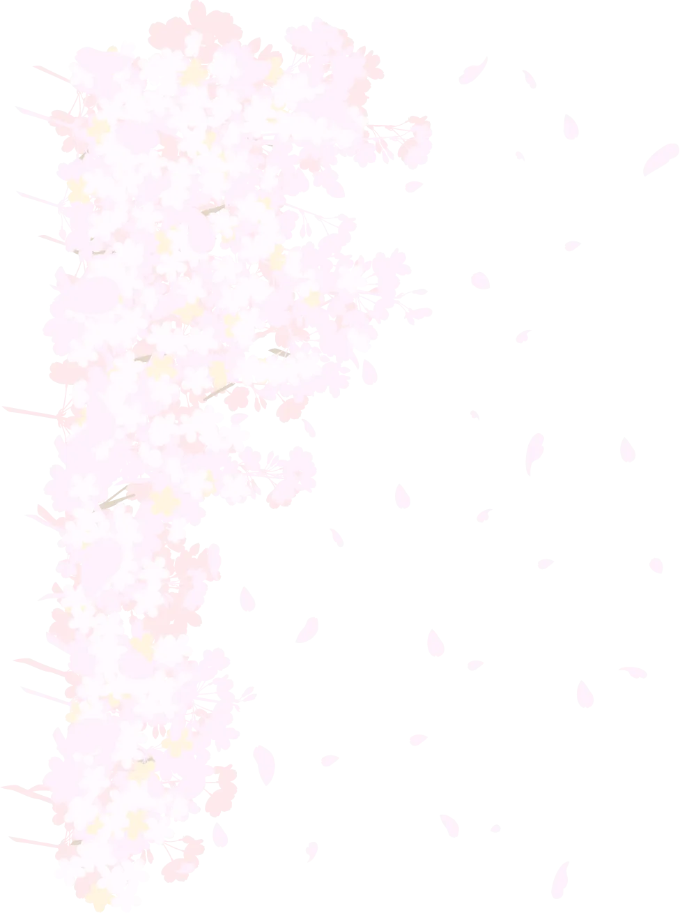 桜背景