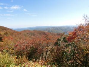 大滝根山の紅葉