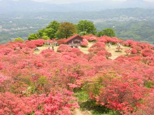 takashibayama