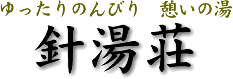 ゆったりのんびり憩いの湯 針湯荘