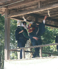 芦沢（あしざわ）の八つ頭獅子舞の写真