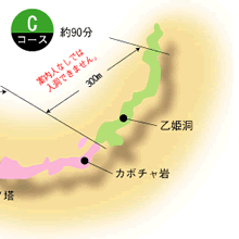 Ｃコース（約90分）の図