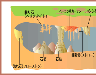 鍾乳洞の図